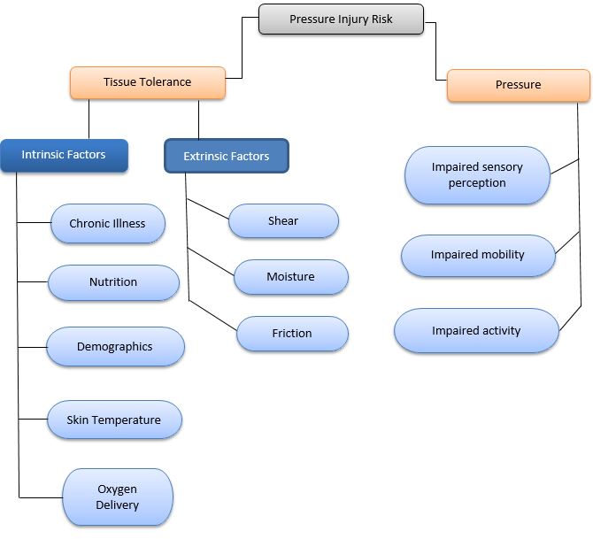 Pressure Injury flow chart
